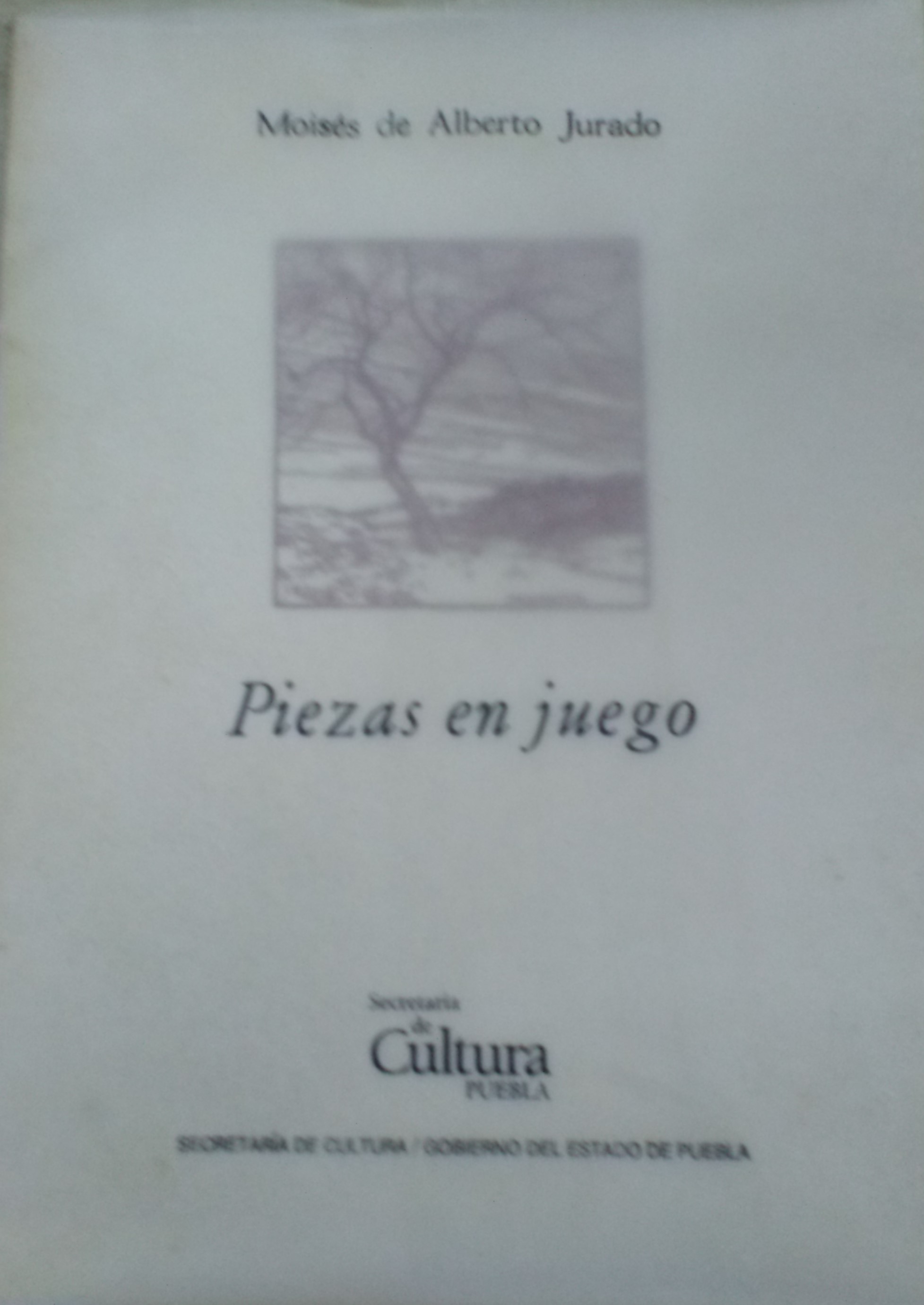 Piezas en juego